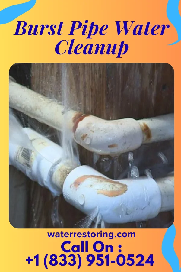 Burst Pipe Water Cleanup in Batavia, AR