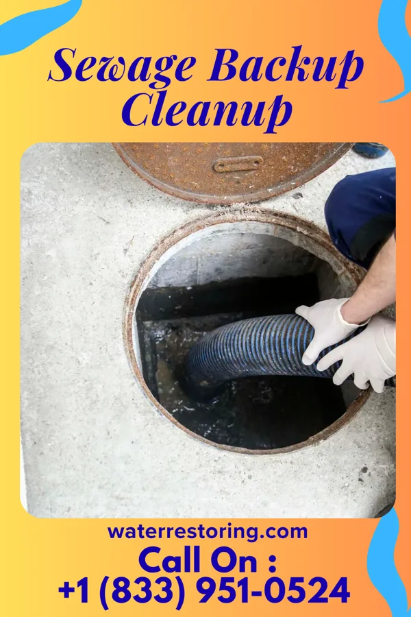 Sewage Backup Cleanup in Batavia, AR